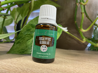 Eucalyptus Globulus 15 ml
