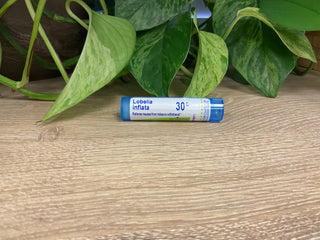 Lobelia inflata 30C