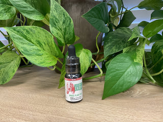 Doggy Whole Plant CBD 500mg