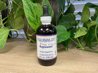 Bugleweed