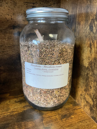 Rhodiola