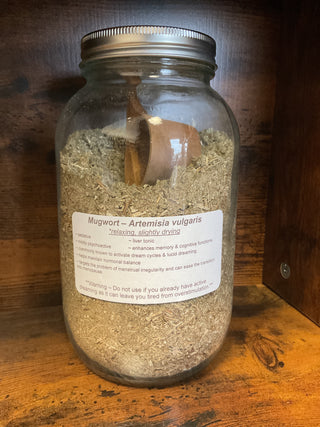 Mugwort