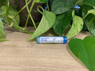 Symphytum officinale 30C