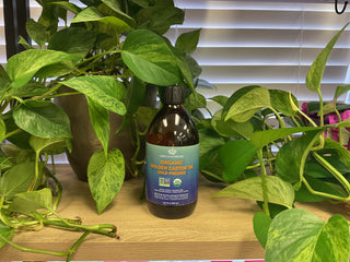 Queen of Thrones Castor oil 16.9