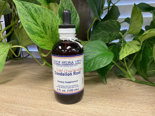 Dandelion root