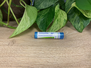 Colocynthis 30C
