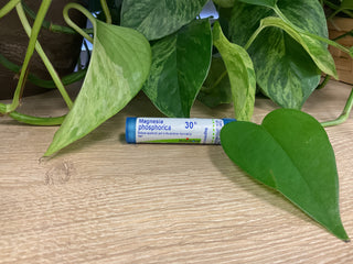 Magnesia phosphorica 30C