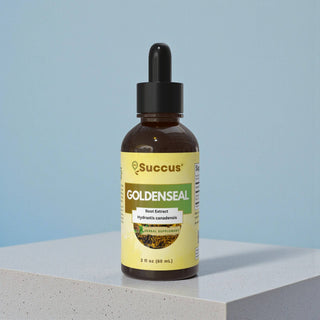 Goldenseal Tincture – Hydrastis canadensis Root Extract
