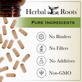 Organic Cordyceps Mushroom