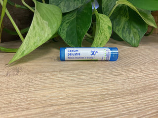Ledum palustre 30C