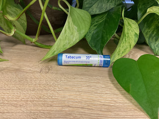 Tabacum 30C