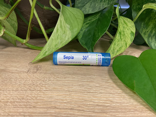 Sepia 30C