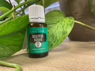 Eucalyptus Radiata 15ml