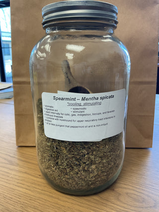 Spearmint