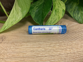 CANTHARIS 30C