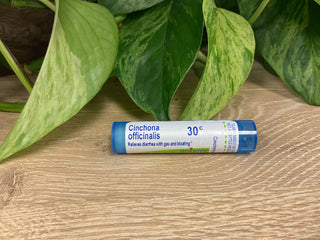CINCHONA OFFICINALIS 30C