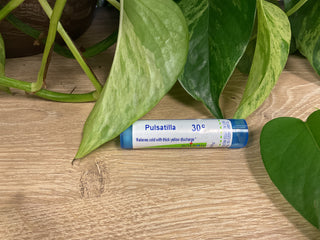 Pulsatilla 30C