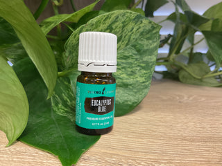 Eucalyptus Blue 5ml