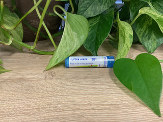 Urtica urens 30C