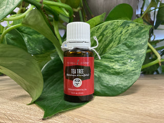 Tea Tree 15ml