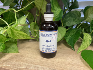SD-R