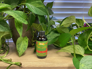 Cinna mint mouthwash