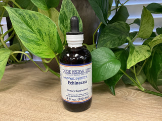Echinacea