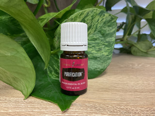 Purification 5ml