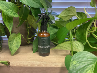 Hair Detangler