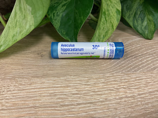 AESCULUS HIPPOCASTANUM 30C