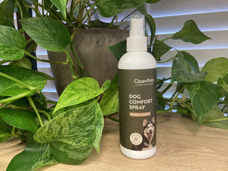Dog Comfort Spray
