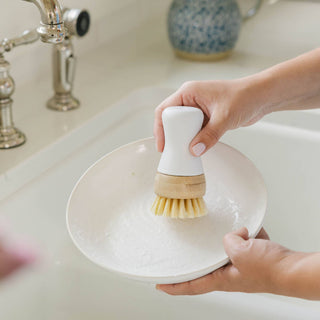 Kitchen Brush - Dish Cleaning Brush