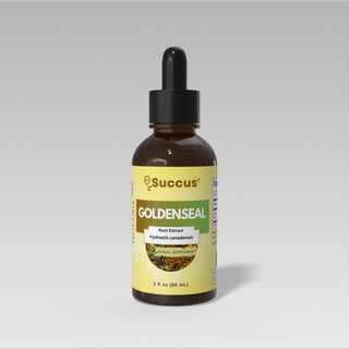 Goldenseal Tincture – Hydrastis canadensis Root Extract