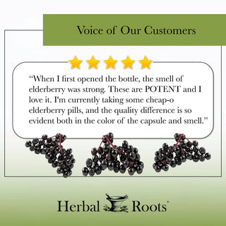 Herbal Roots Organic Black Elderberry Capsules
