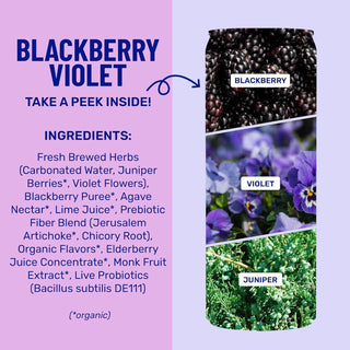 Blackberry Violet Sparkling Prebiotic + Probiotic Drink